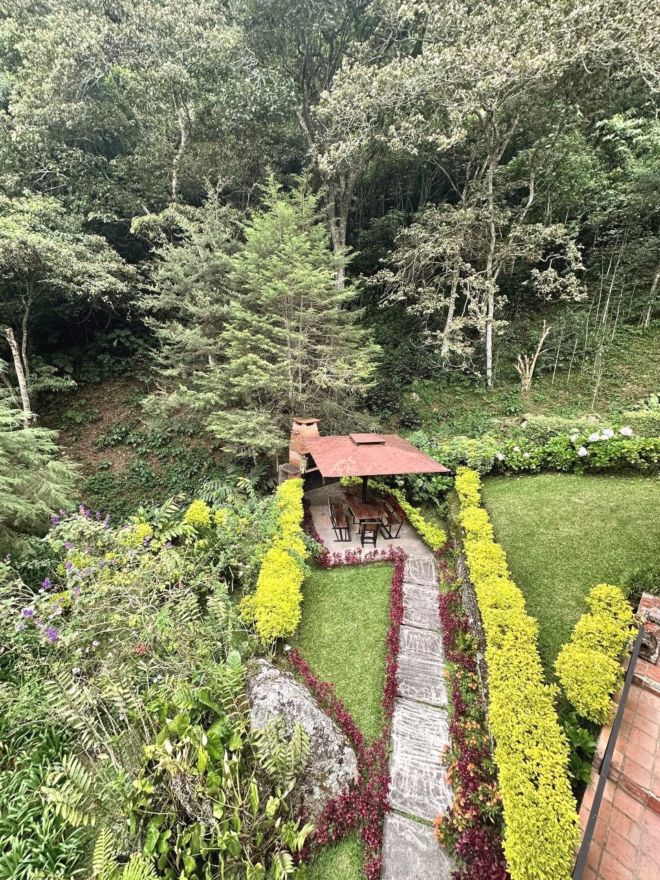 Los jardines de la estancia vistos desde arriba, con el bosque de niebla detrás