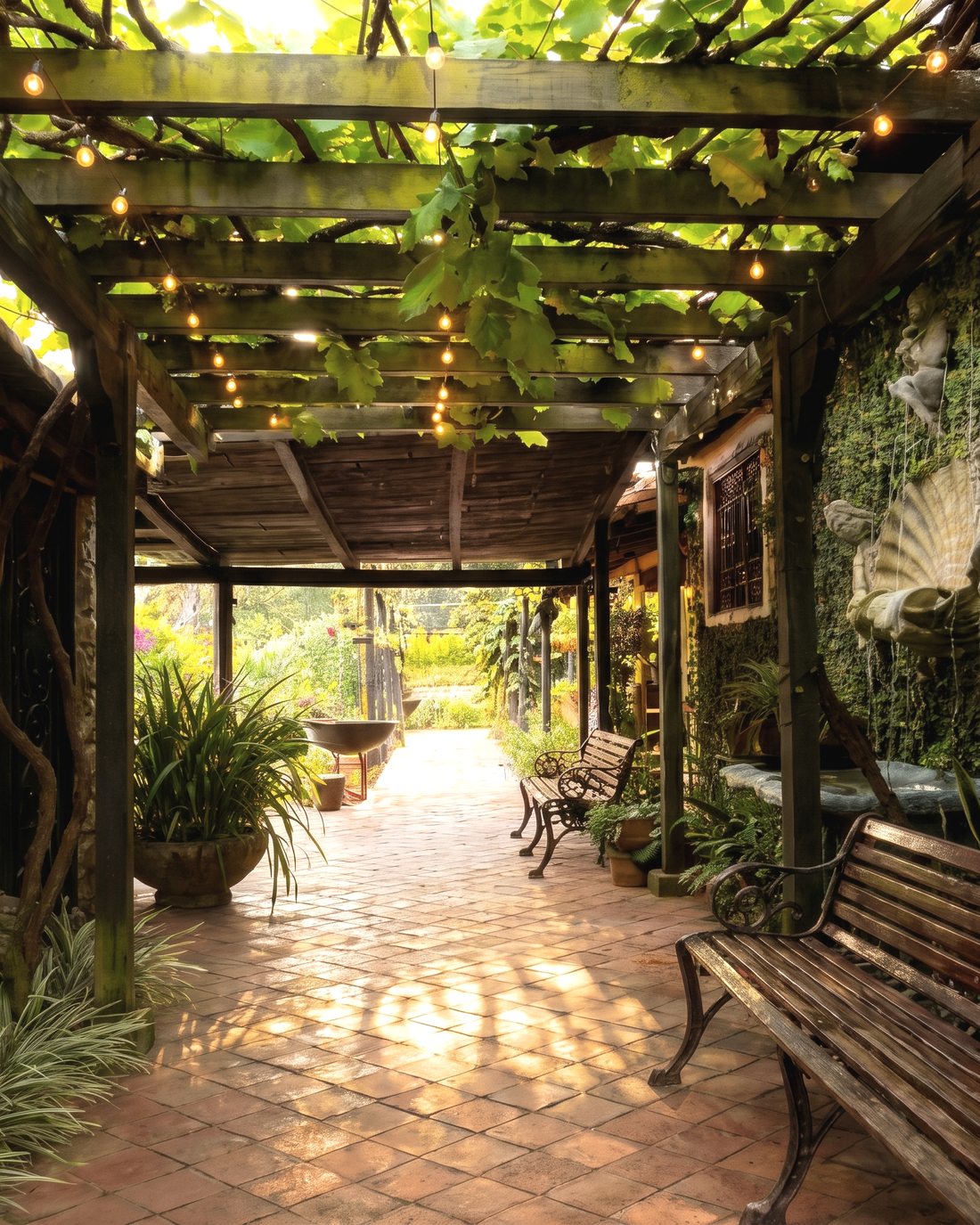 La pérgola del jardín, con el banco y las plantas